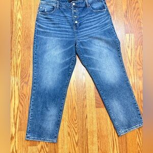 Liverpool Women’s Blue Denim Button Up Medium Wash Relaxed Fit Jeans 16